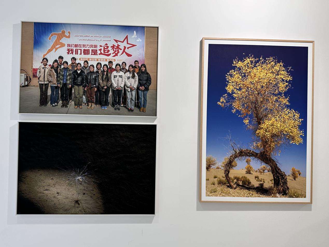 台山侨乡最关注：图看沙漠里的脱贫故事-图片7